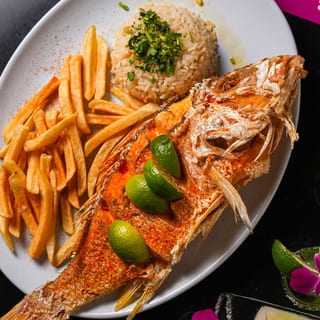 Red Snapper